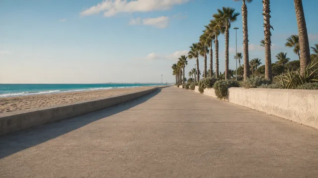 Crazy Frog AI background: Beach boardwalk, palm trees, sand and a turquoise sea